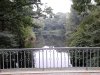 Thumbnail IMG578.jpg 