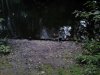 Thumbnail IMG579.jpg 