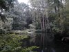 Thumbnail IMG580.jpg 