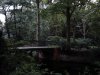 Thumbnail IMG582.jpg 