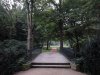 Thumbnail IMG583.jpg 