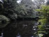 Thumbnail IMG584.jpg 