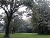 Thumbnail IMG586.jpg 