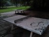 Thumbnail IMG587.jpg 