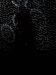 Thumbnail IMG155.jpg 