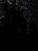 Thumbnail IMG156.jpg 