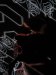 Thumbnail IMG161.jpg 