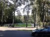 Thumbnail IMG646.jpg 