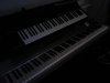 Thumbnail IMG300.jpg 