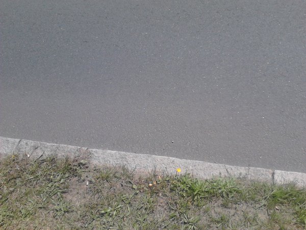 Scaled image IMG032.jpg 