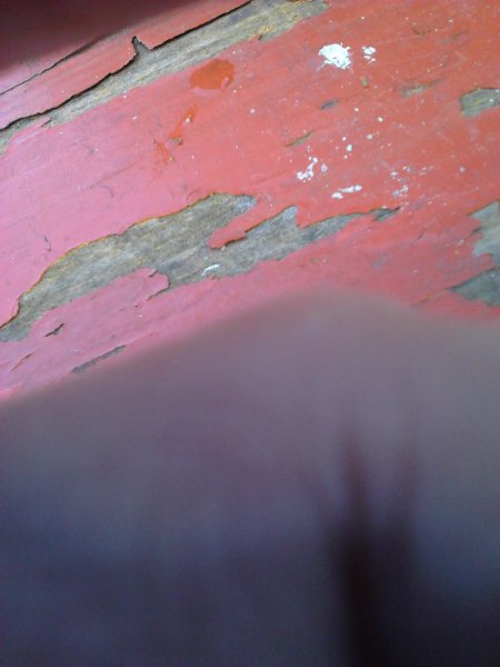 Scaled image IMG050.jpg 