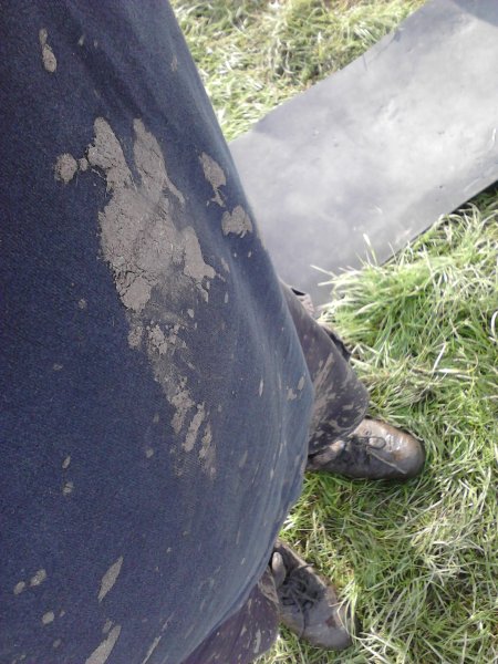 Scaled image IMG055.jpg 