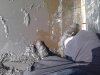 Thumbnail IMG043.jpg 