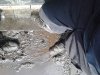 Thumbnail IMG045.jpg 