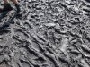 Thumbnail IMG048.jpg 