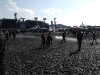 Thumbnail IMG049.jpg 